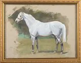 Study of a standing grey horse Watercolour and by Denis Aldridge, watercolor, offered Aug 2024