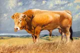 Untitled by Tony Whieldon, Oil on canvas, sold May 2024