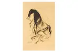 Untitled by Sunil Das, charcoal on paper, offered Jun 2024