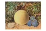 Untitled by William Carter, pencil on paper, offered Jun 2024