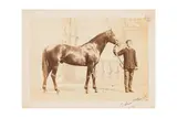 Untitled by Louis-Jean Delton, print, offered Jun 2024