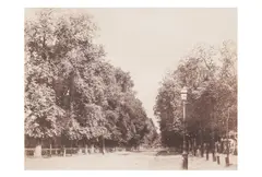 Untitled by Charles Marville, print, offered Jun 2024