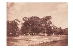Untitled by Gustave Le Gray, print, offered Jun 2024