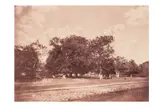 Untitled by Gustave Le Gray, print, offered Jun 2024