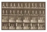 Untitled by Eadweard Muybridge, photograph, offered Jun 2024