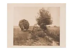 Untitled by Peter Henry Emerson, photograph, offered Jun 2024