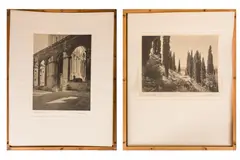 Arca by Paul Fripp, photograph, offered Jun 2024