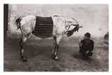 Untitled by Josef Koudelka, Silver gelatin print, printed, offered Jun 2024