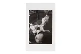 Untitled by Hiroshi Hamaya, Silver gelatin print, printed, offered Jun 2024