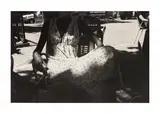 Untitled by Charles Harbutt, print, offered Jun 2024