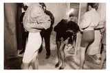 Untitled by William Klein, Silver gelatin print, flush mounted to board, image/sheet size, offered Jun 2024