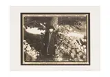 Untitled by Sarah Moon, print, offered Jun 2024