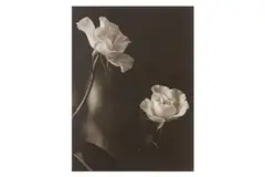 Untitled by Bruce Rae, print, offered Jun 2024