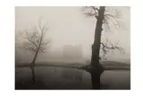 Untitled by Michael Kenna, 1983, print, offered Jun 2024
