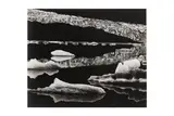 Untitled by Brett Weston, print, offered Jun 2024