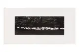 Untitled by Paul Caponigro, Silver gelatin print, printed, offered Jun 2024