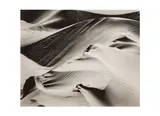 Untitled by Brett Weston, Silver gelatin print, printed, offered Jun 2024