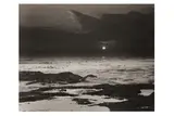 Untitled by Wynn Bullock, Silver gelatin print, image size, offered Jun 2024
