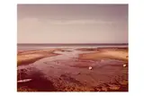 Untitled by Joel Meyerowitz, print, offered Jun 2024
