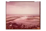 Untitled by Joel Meyerowitz, print, offered Jun 2024