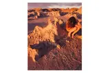 Untitled by Judy Dater, print, offered Jun 2024