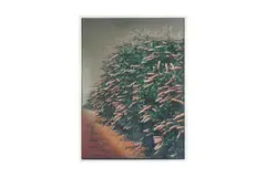 Untitled by Ivor Abrahams, screenprint, offered May 2024