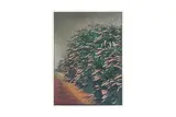 Untitled by Ivor Abrahams, screenprint, offered May 2024