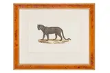 & Cuvier by Geoffroy Saint-Hilaire, print (other), offered May 2024