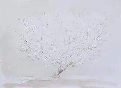 Arbre et fleurs by Pierre Humbert, 2016, Ink and wash, sold Oct 2023