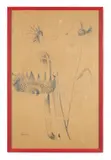 Sunflowers by Mary Fedden, Pencil, sold Oct 2023