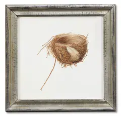 Bird's nest by Brigid Edwards, Watercolour on vellum, sold Oct 2023
