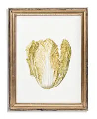 Chinese cabbage by Brigid Edwards, Watercolour on vellum, sold Oct 2023