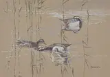 Garganey in thin reeds by Eric Ennion, watercolor, sold Jul 2023