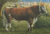 Thomas, the long-horn bull by James Lynch, watercolor, sold Jul 2023
