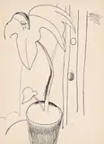 Still life with plant by Lucian Freud, drawing, offered Jul 2023
