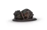 A rare bronze model of a giant lop eared rabbit by Louis Théophile Hingre, BRONZE, offered Jun 2023