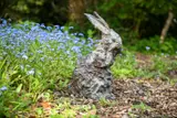A limited edition bronze model of a rabbit grooming its face by Nicola Hicks, BRONZE, offered Jun 2023