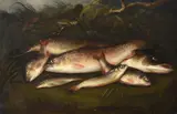 Trout, pike, roach, dace and gudgeon on a bank by Henry Leonidas Rolfe, Oil on canvasSigned, offered Jun 2023