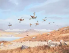 Driven grouse by Richard Robjent, watercolor, sold Jun 2023