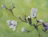 Study of a magnolia blossom by Prue Sapp, oil on canvas, sold Dec 2023