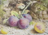 Still life of fruit by William Hough, watercolour, sold Dec 2023
