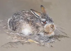 A young hare by Cees Roorda, watercolour, sold Dec 2023