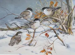 ‘’Blue tits in a snowy landscape’’ by Cees Roorda, watercolour, sold Dec 2023