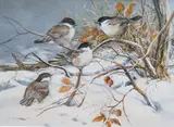 ‘’Blue tits in a snowy landscape’’ by Cees Roorda, watercolour, sold Dec 2023