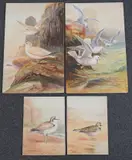 British Birds by George James Rankin, watercolour, sold Nov 2023