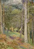 A Woodland, New Radnor by Edward Steel Harper, 1927, Steel Harper, sold Oct 2023