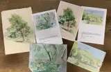 12 watercolours on paper together with authentications by by Joyce Grenfell, watercolor, sold Jan 2024