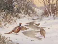 Pheasants and Woodcock in a winter landsacpe by Colin W. Burns, watercolour and gouache, sold Dec 2023