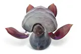 A Murano Calcedonia sculpture of a turtle raised on oval base with artists by Dino Rosin, 2006, sculpture, sold Nov 2023