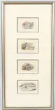 Untitled by Thomas Bewick, print (other), offered Mar 2026